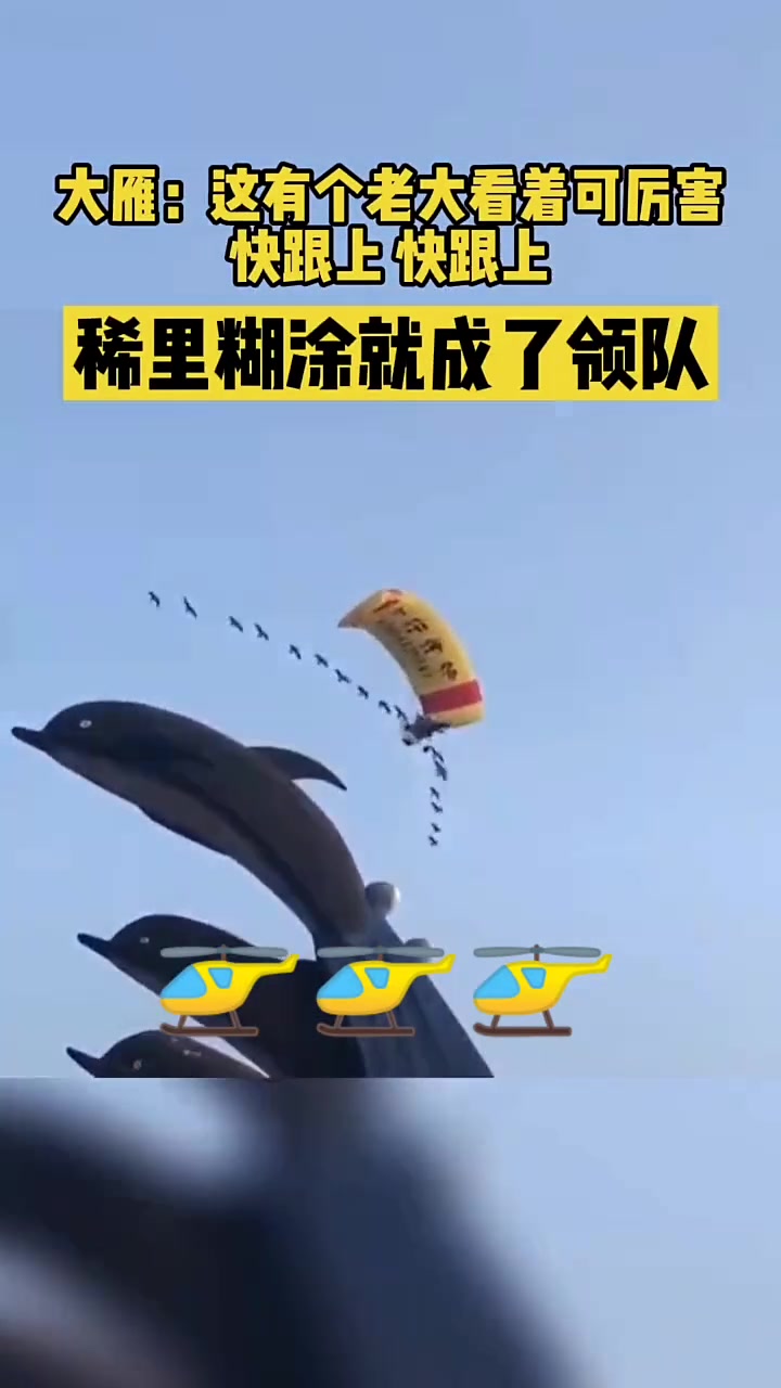 再这样下去你要被写到语文书和生物书里啊！