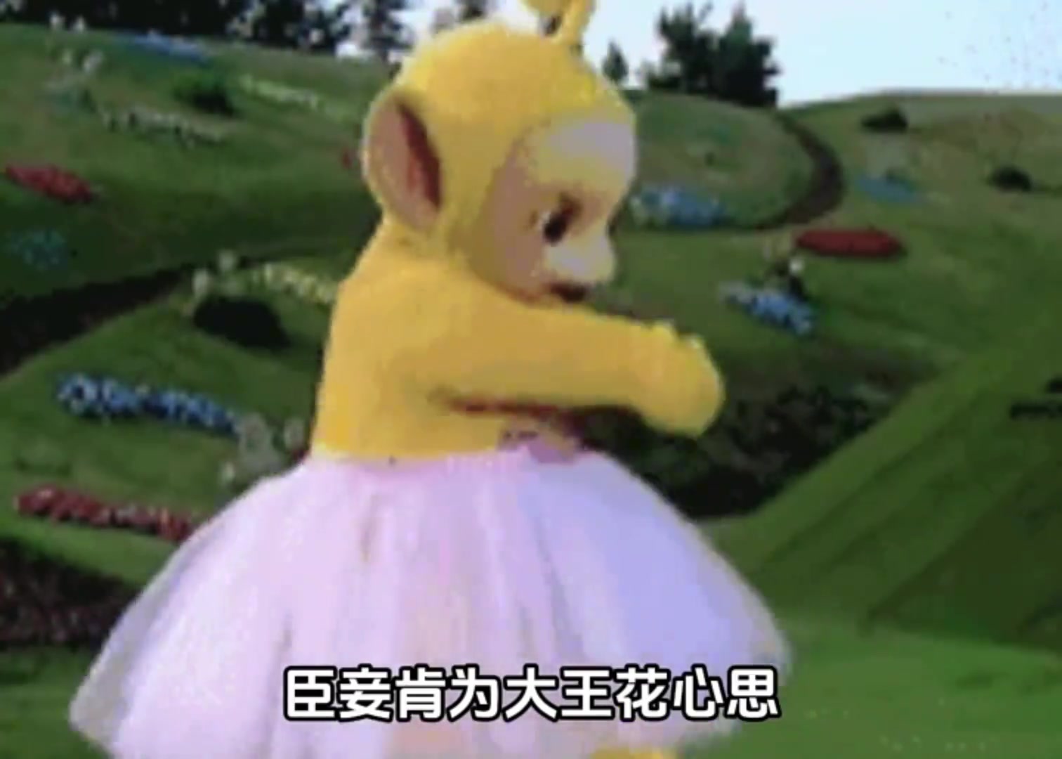 宝宝你怎么是这样摇尾巴的呀
