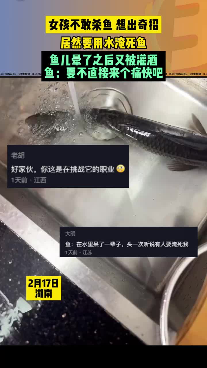 建议放水箱里，这样水多才淹的死！女孩不敢杀鱼想奇招