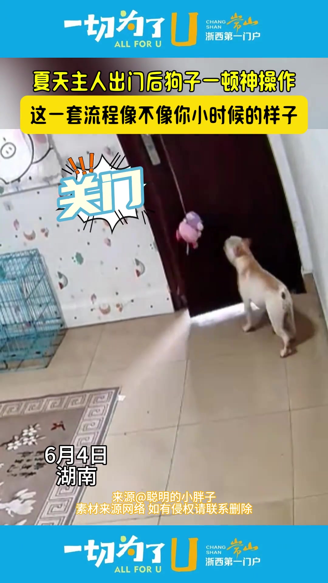 狗子一顿神操作 这一套流程像不像你小时候的样子