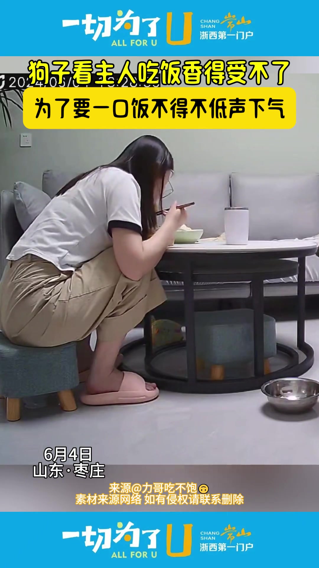 狗看主人吃饭香得受不了 为了要一口饭不得不低声下气