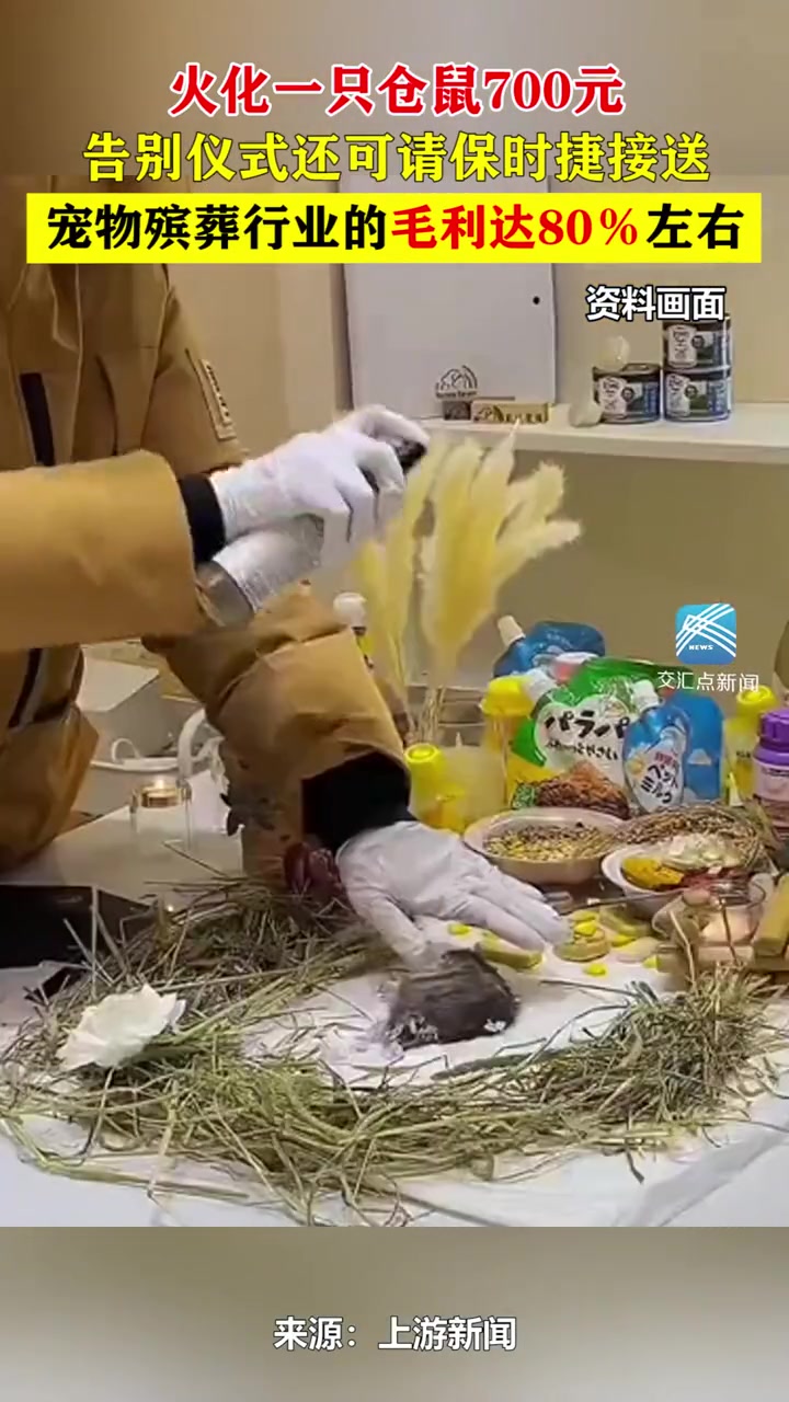 火化一只仓鼠700元！告别仪式还可请保时捷接送宠物！