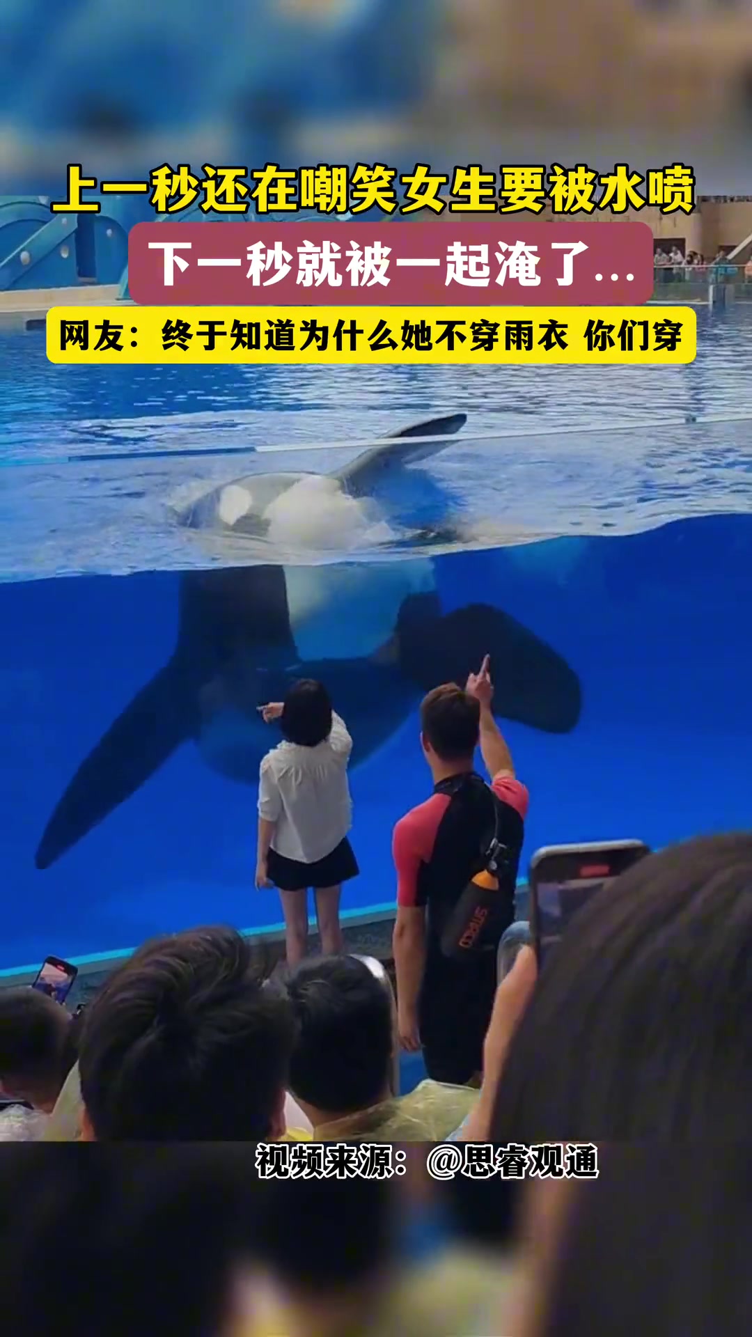 这一拍浪得有五米吧！
