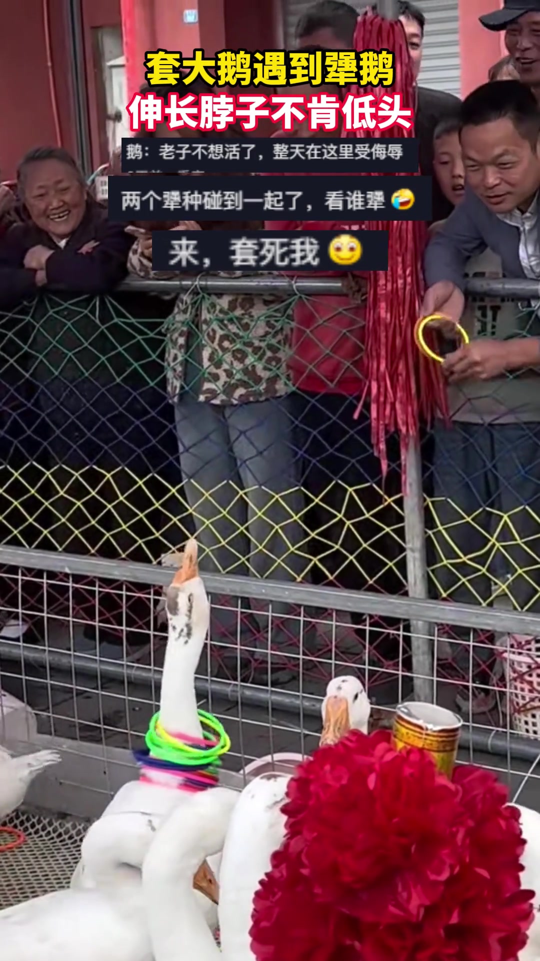 我已成功打入敌人内部！！快接我回去吧！