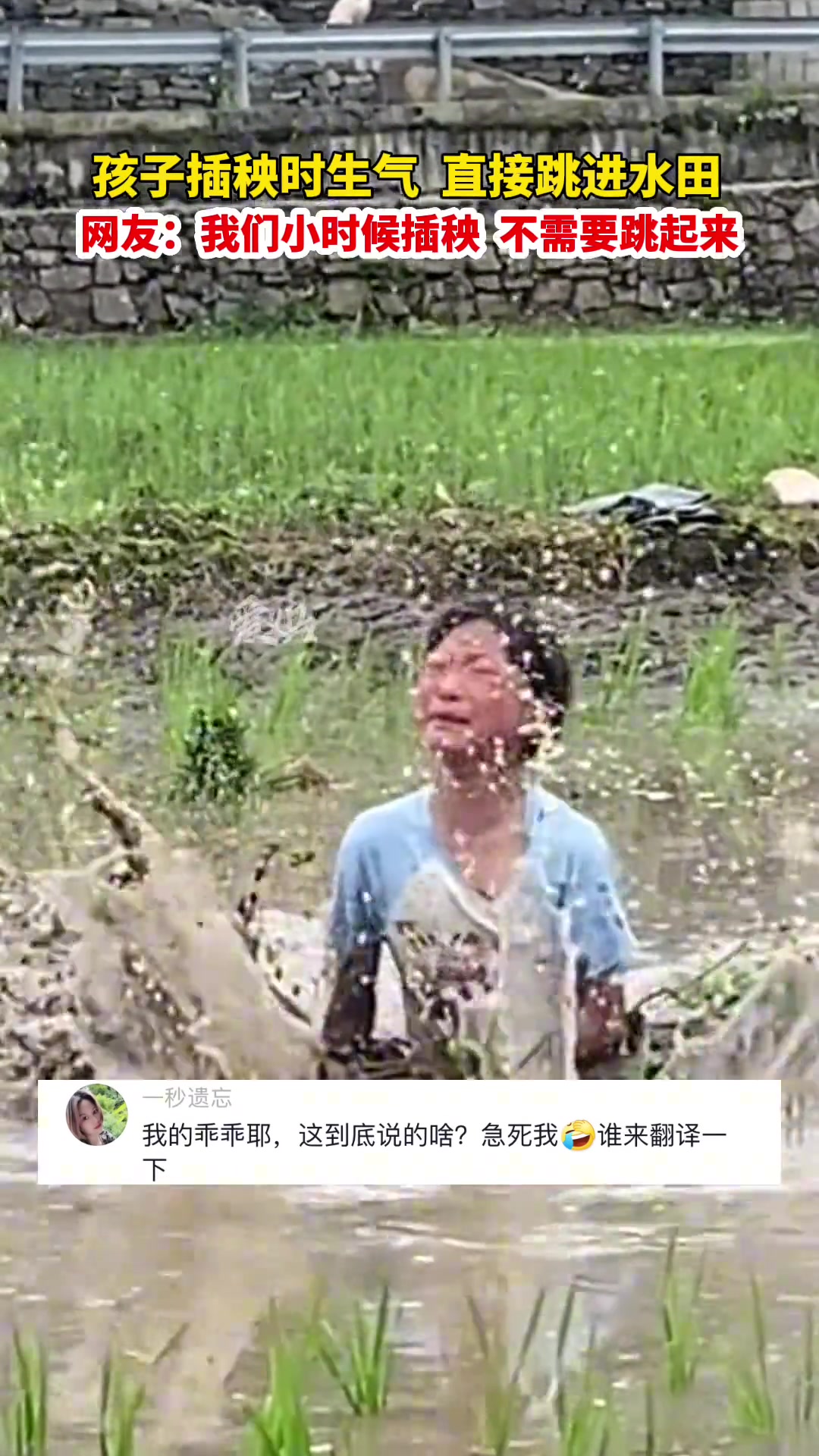 网友：看到了我小时候插秧的样子