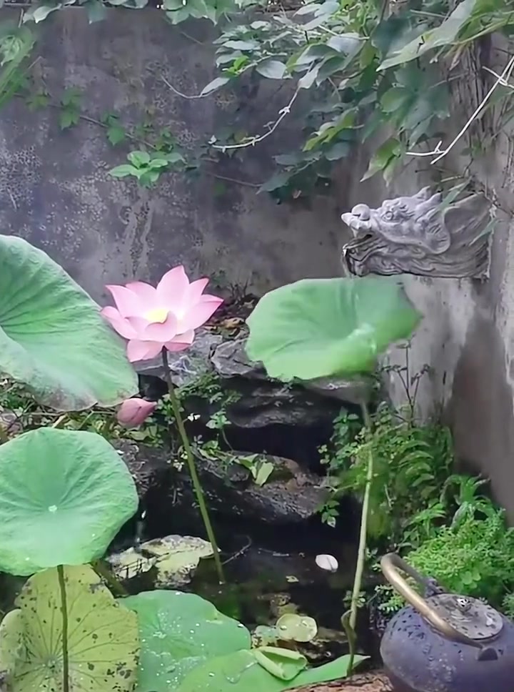 搁这漱口呢