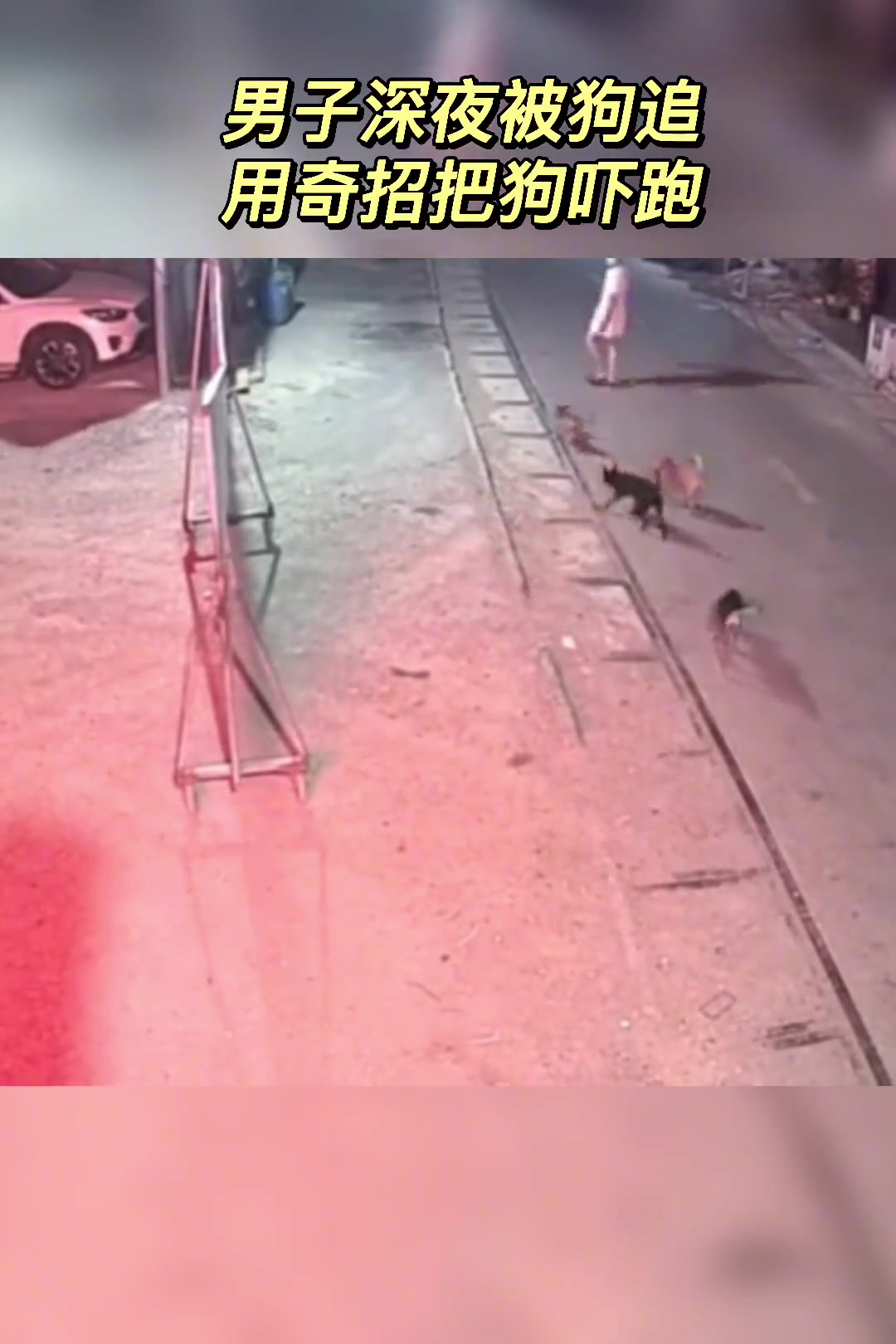 男子深夜被狗追赶 竟用奇招把狗吓跑