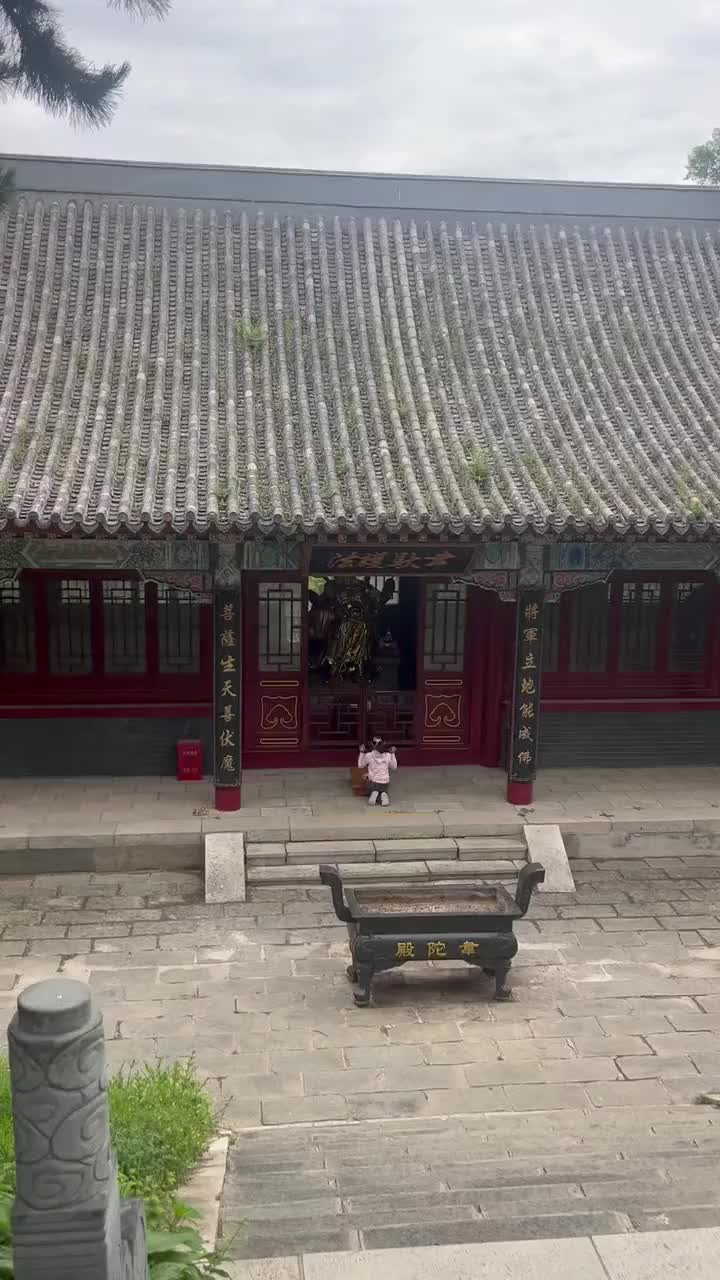这样磕头显得更诚心吗 ？！