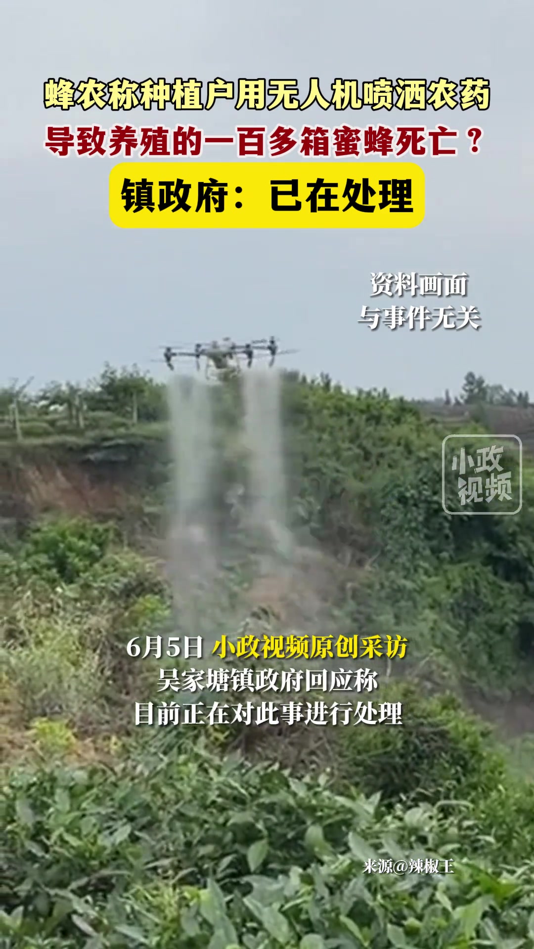 种植户用无人机喷洒农药，导致一百多箱蜜蜂死亡？
