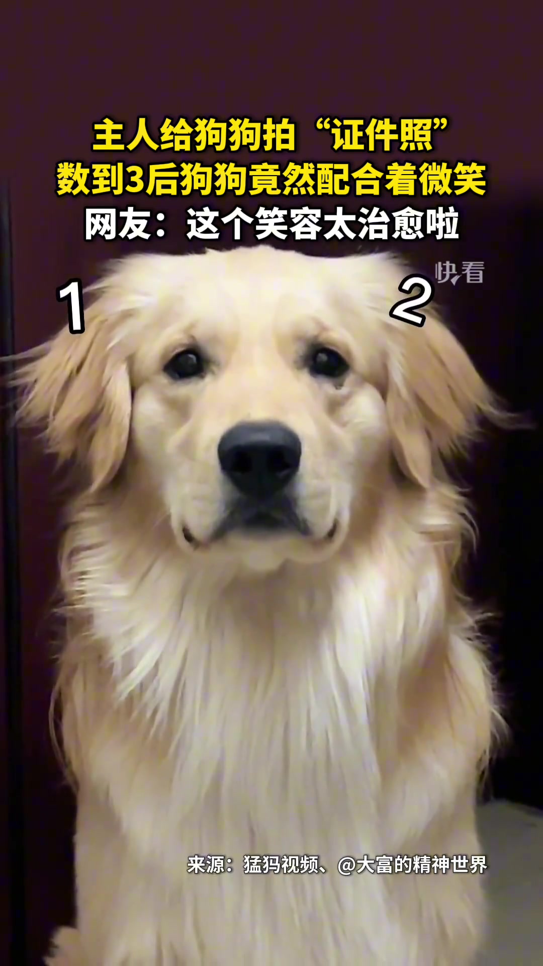 救命！它真的在笑耶！太治愈啦！