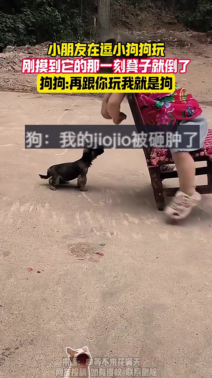 再和你玩我这辈都进不了汪汪队！