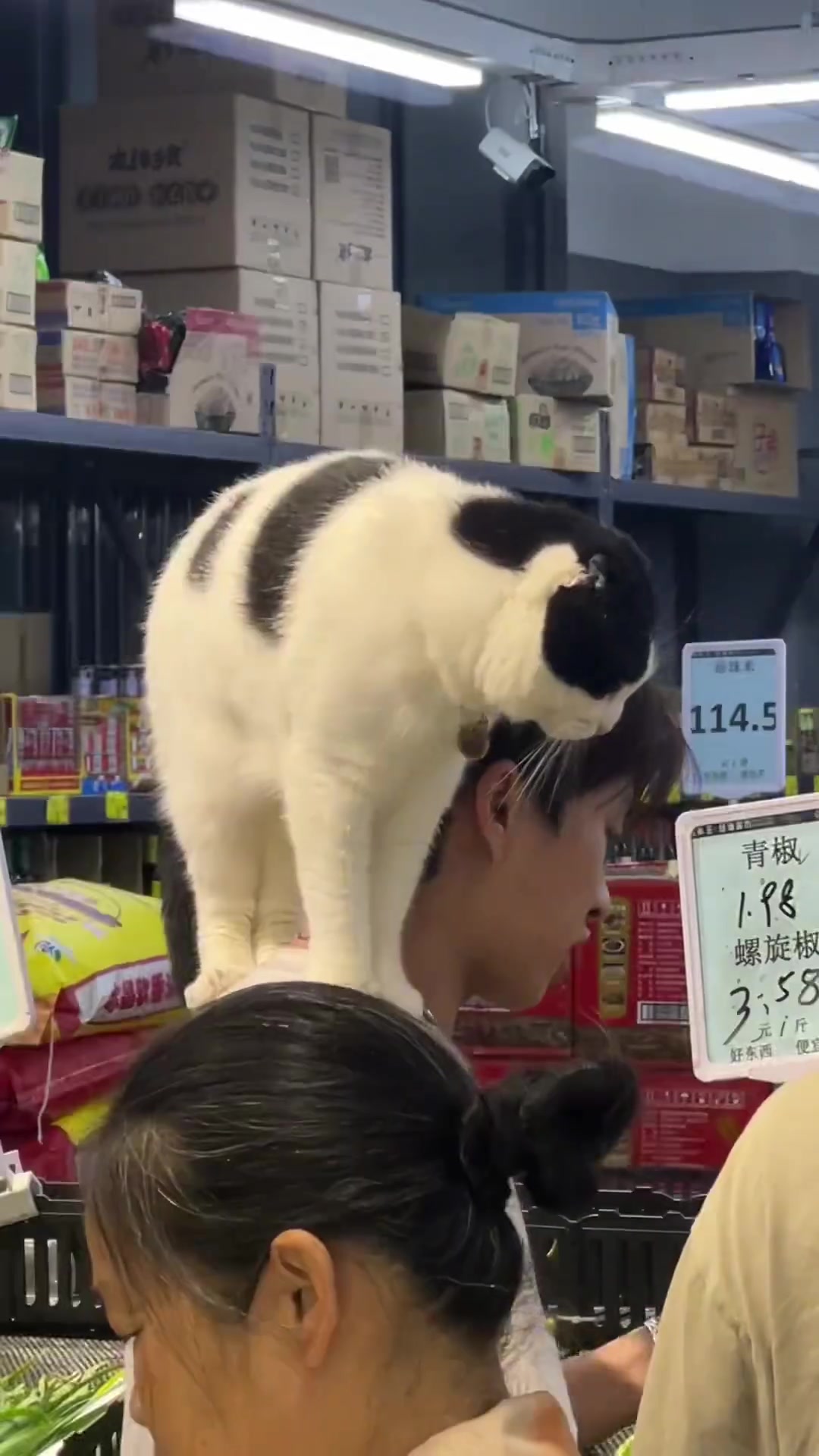 有种傲视群雄的即视感~