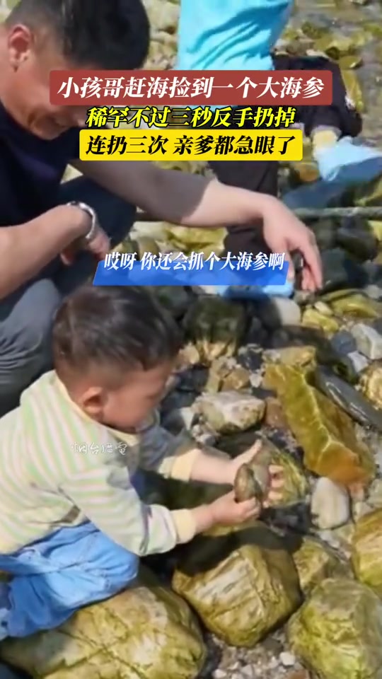 连扔三次！小孩哥赶海捡到大海参反手扔掉亲爹都急了！