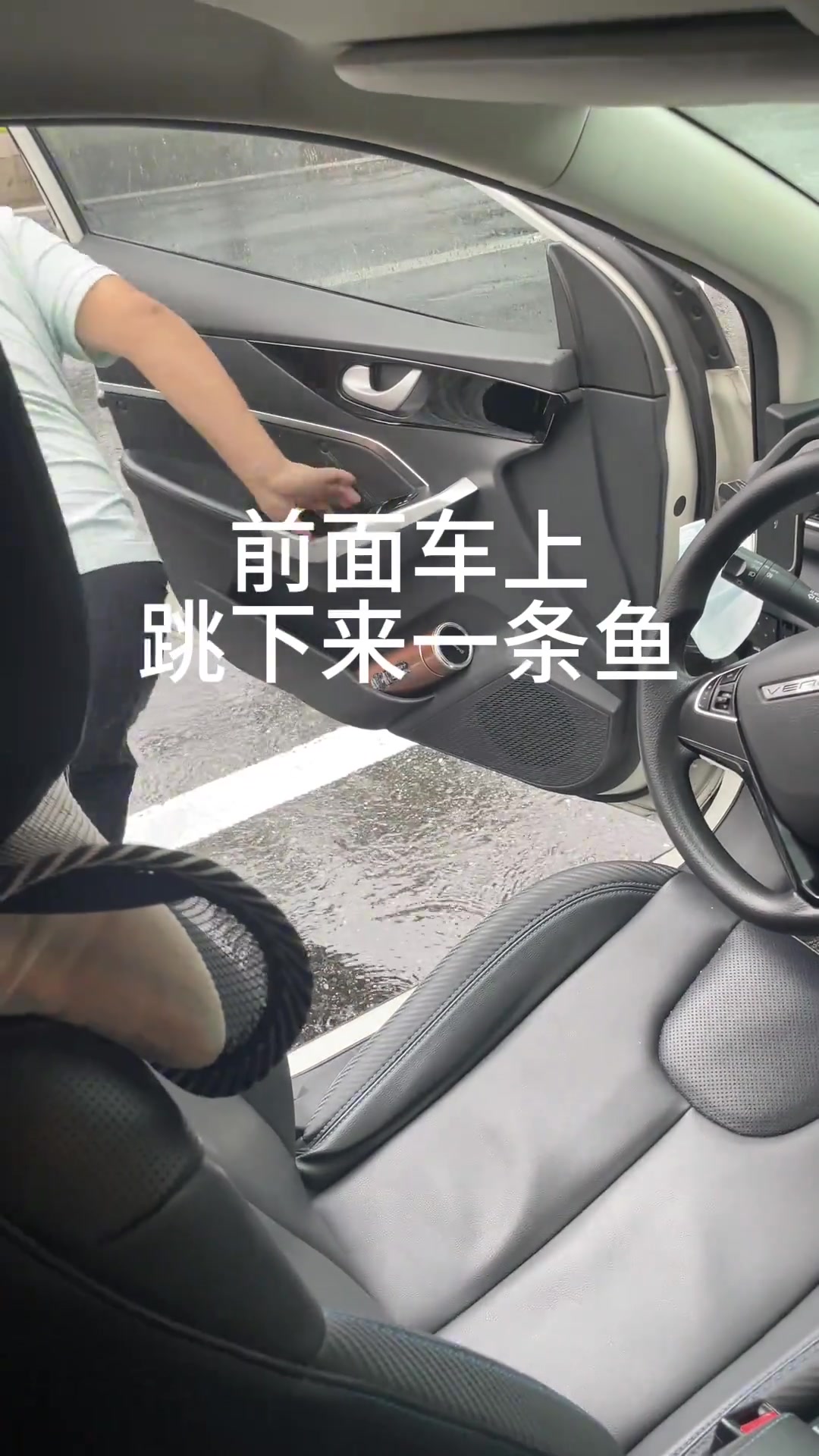 上班路上，司机抓了条鱼