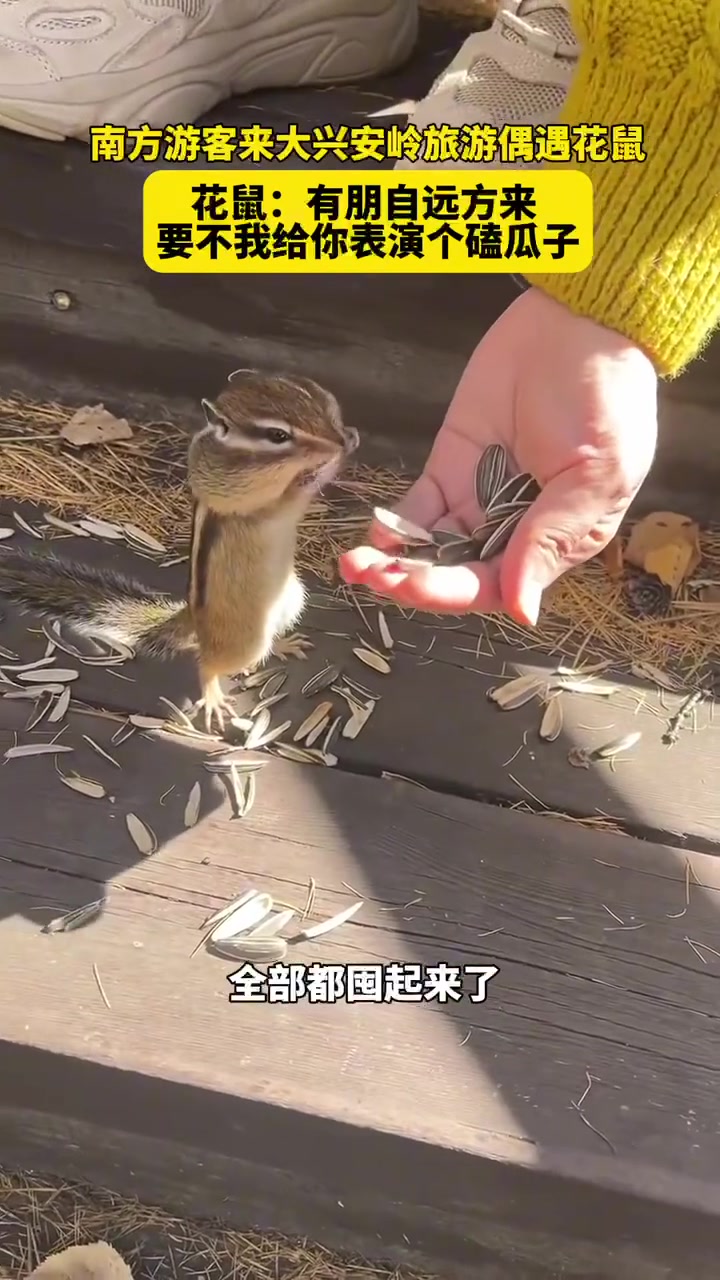 真的会塞的满嘴都是！原来动画片里都是真的！