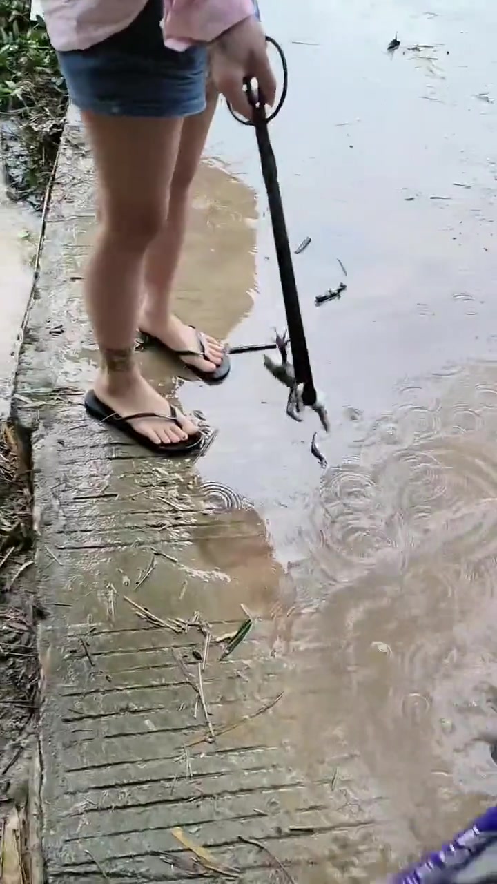 正义靓女，勇救落水青蛙