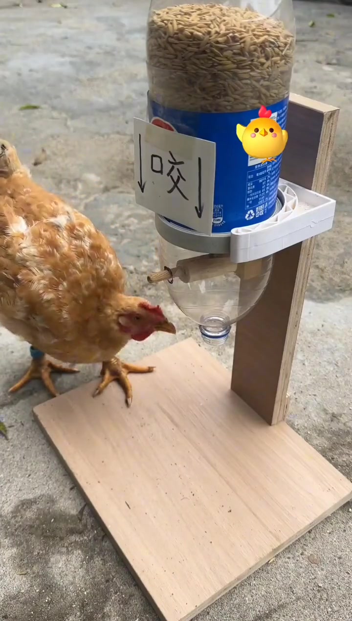 你猜 中文是给谁看的