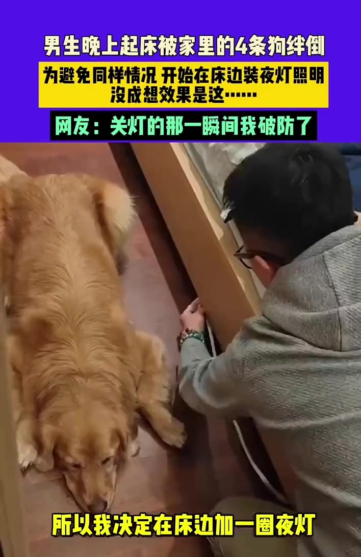 男生晚上起床被家里狗绊倒，为避免在床边装夜灯照明