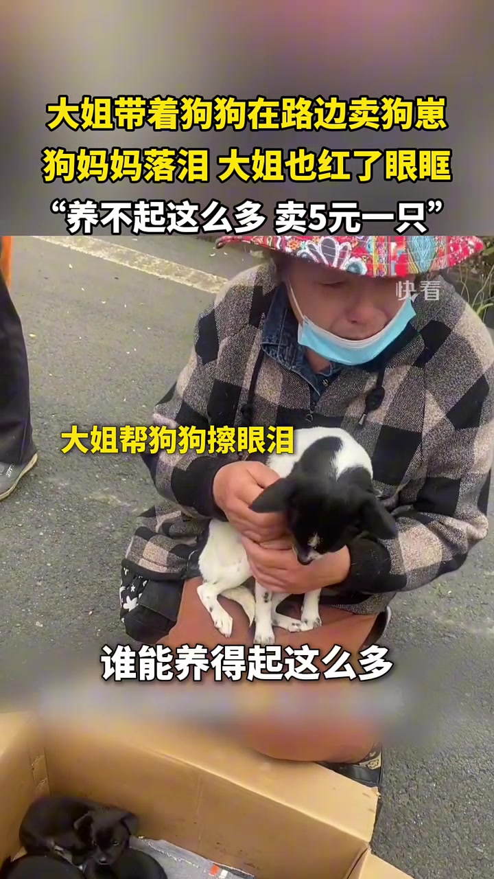 大姐路边卖狗崽，狗妈妈落泪，大姐也红了眼眶…