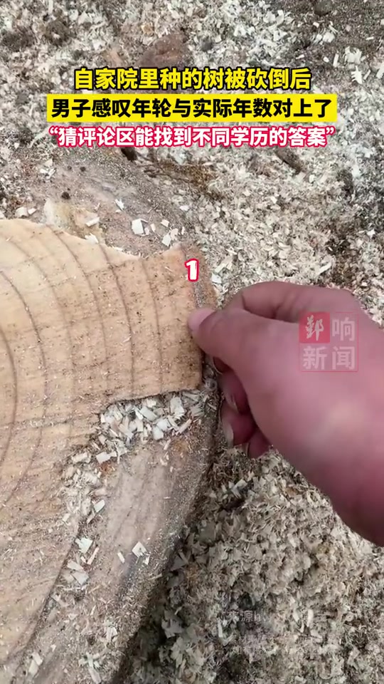 小学课文里的年轮没有骗人！