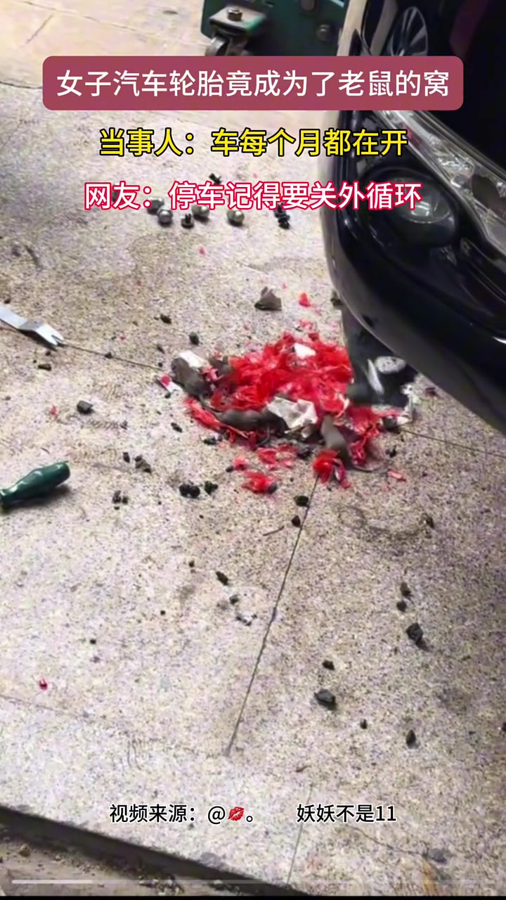 这是老鼠在车上安家了啊！