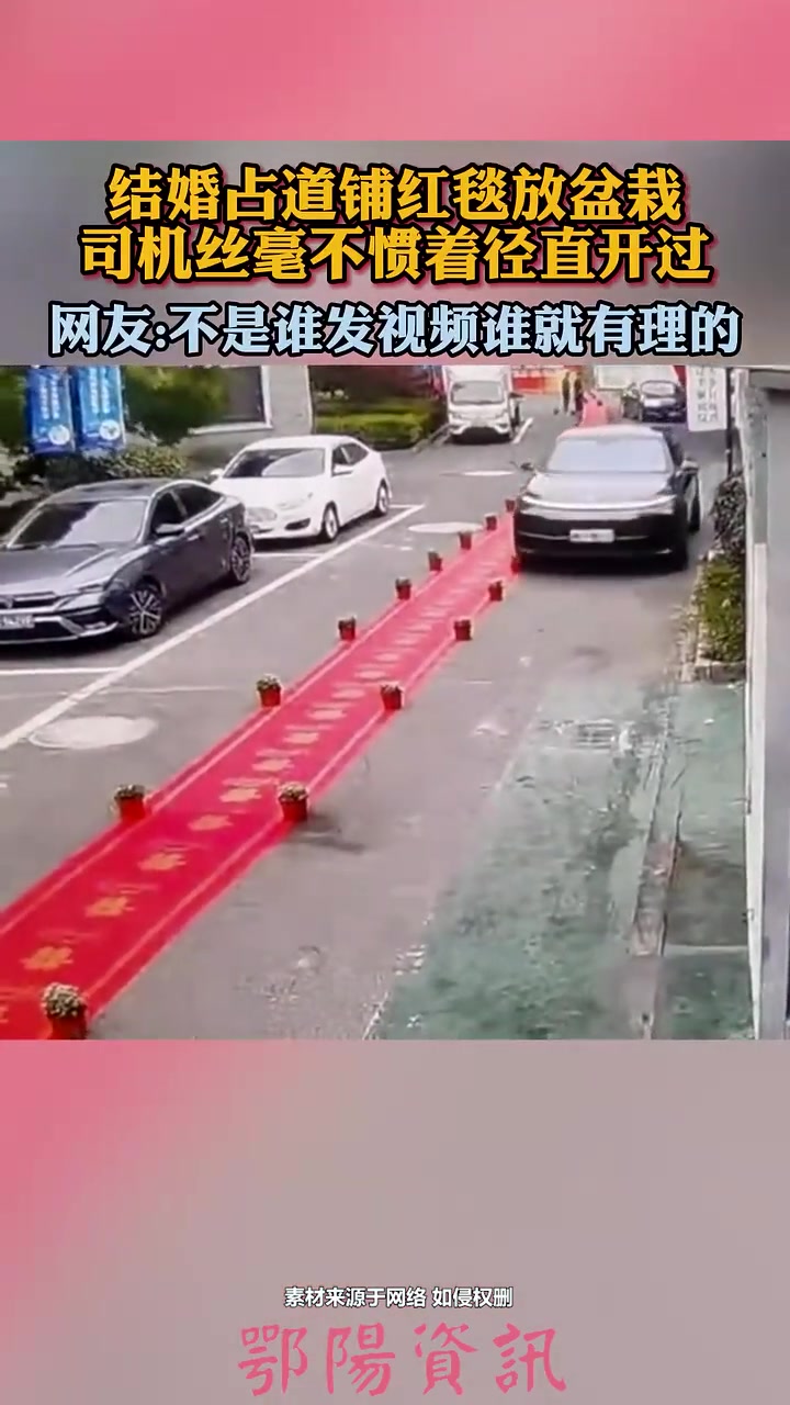 结婚放盆栽占道，小车司机直接从盆栽上碾过去