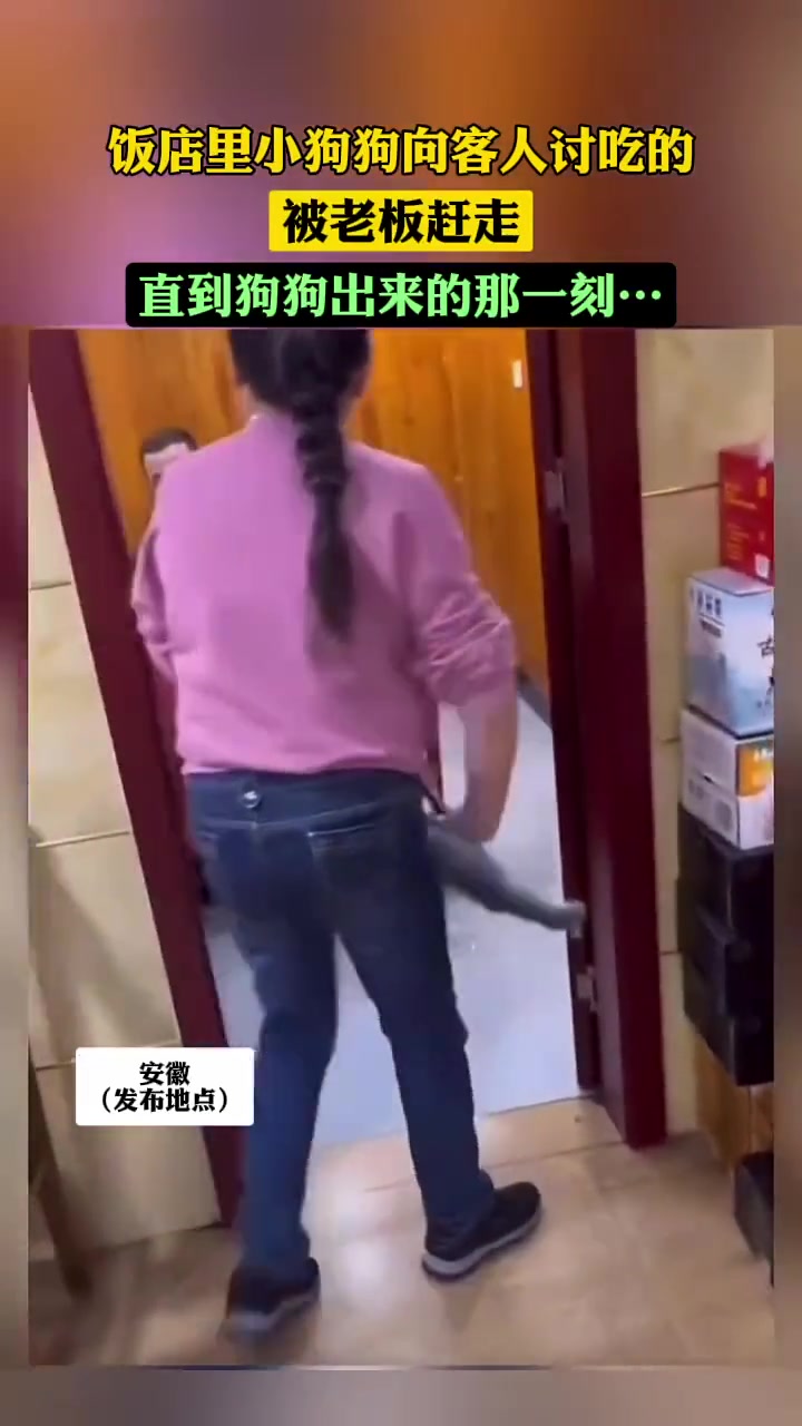 一直到狗出来之前，我都认为这老板太过分了。。。