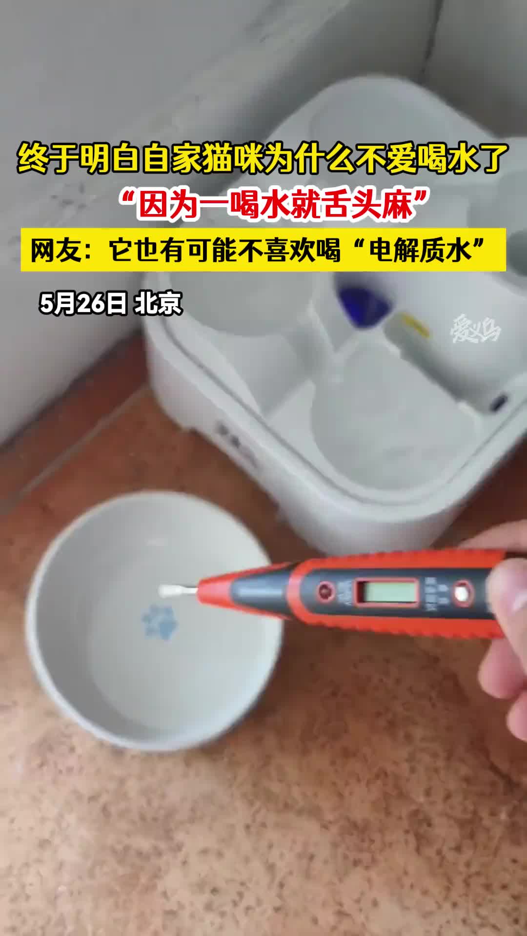每次都会触发电刑！