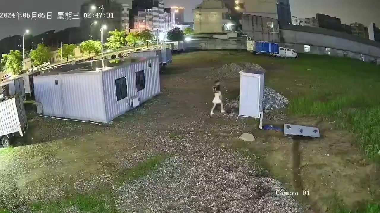 是厕所质量太差了？还是他们太过激烈了