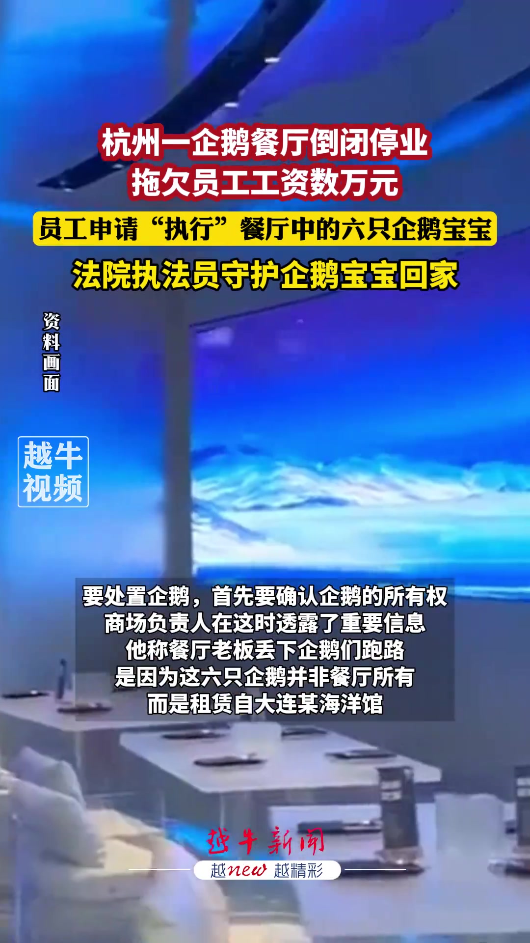 一企鹅餐厅倒闭停业，员工申请“执行”企鹅
