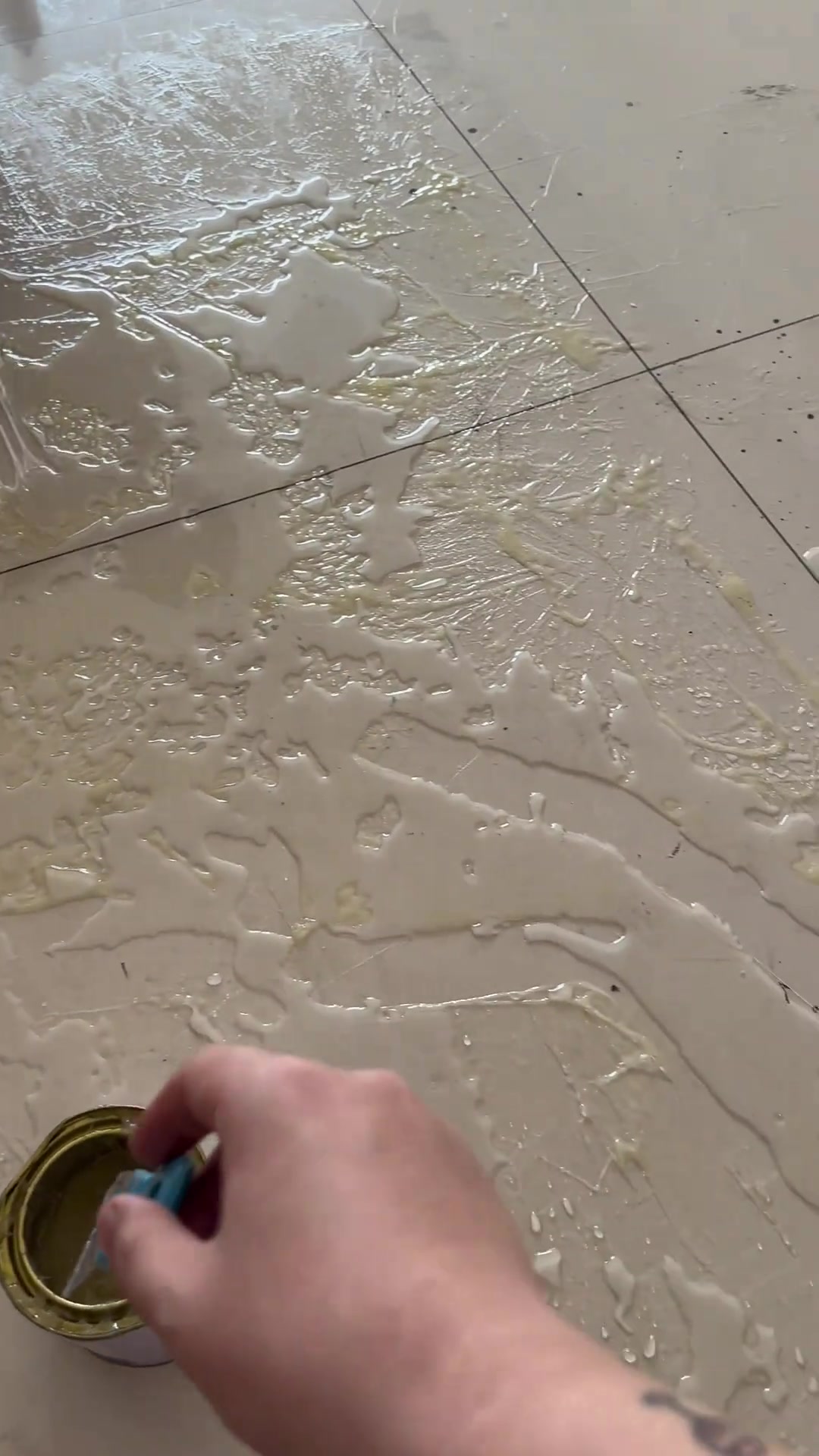 老鼠胶玩的时候挺好收拾真是要了命了