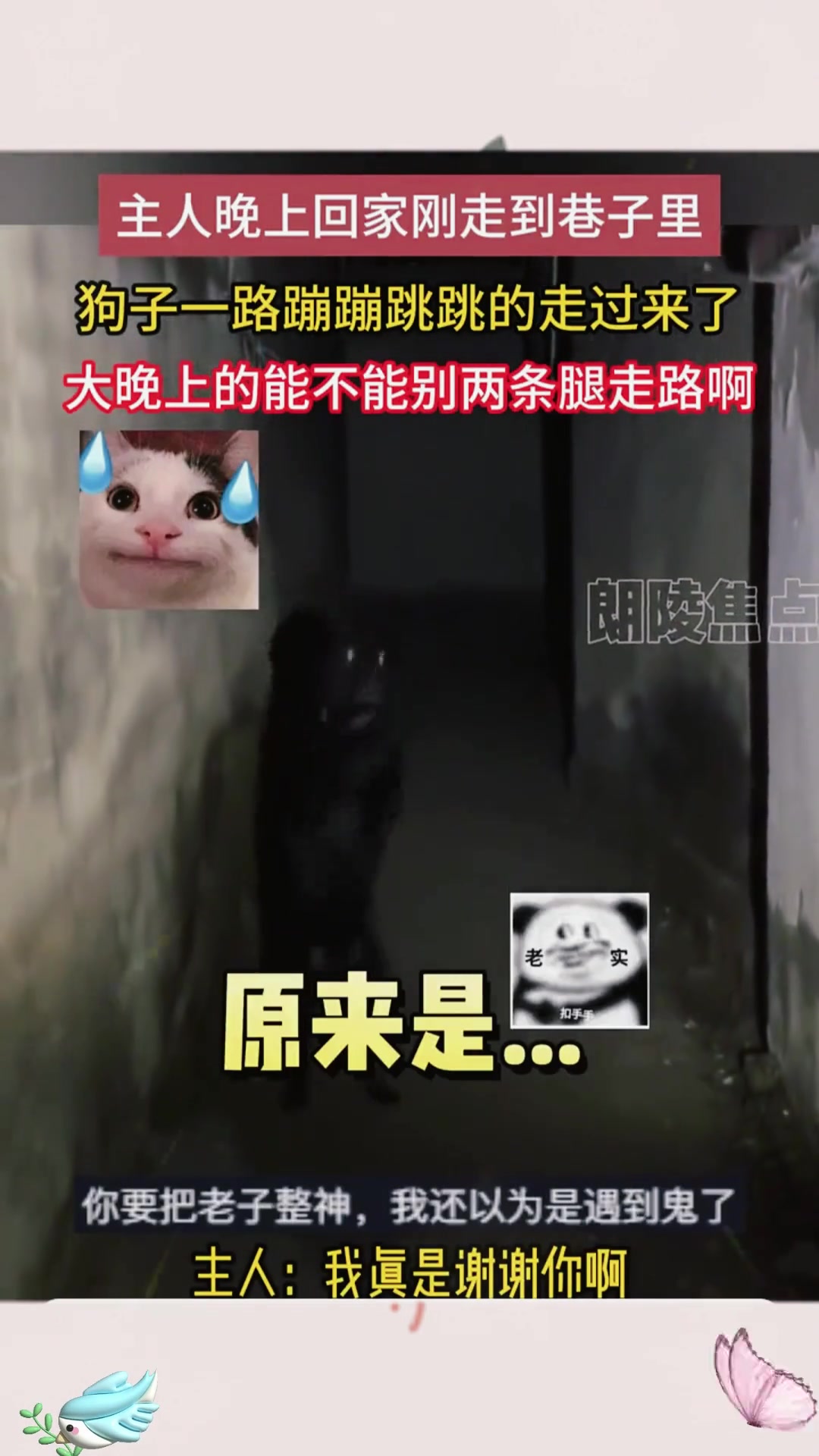 这不是接主人，这是要送走主人的节奏