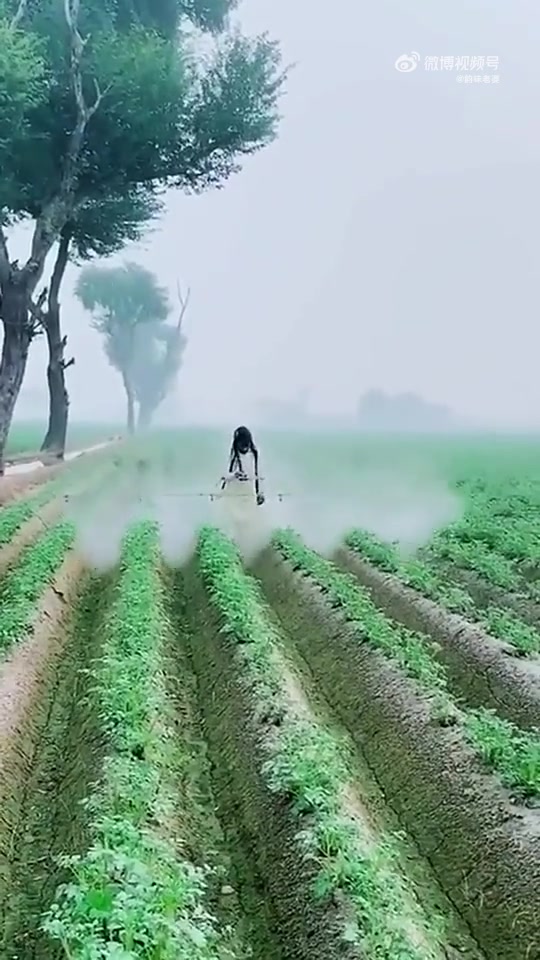 我去，这竟然是个人啊
