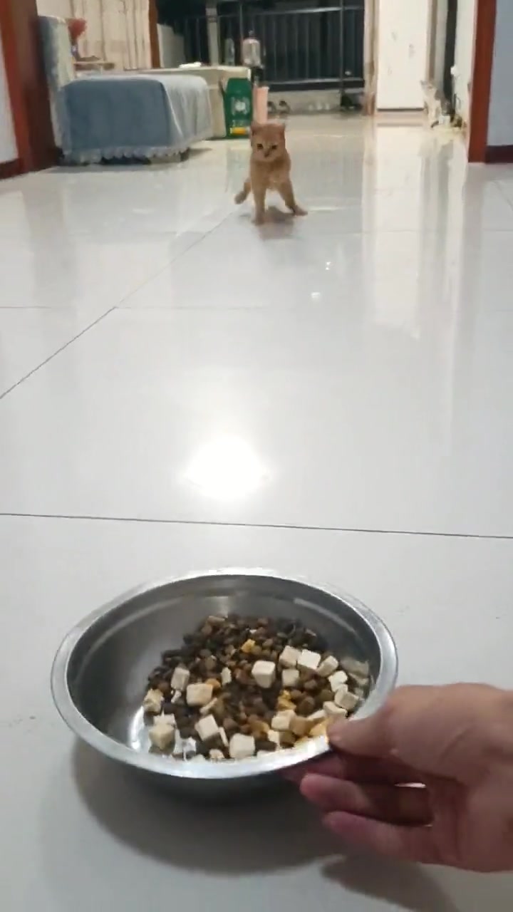 明天去做个四轮定位