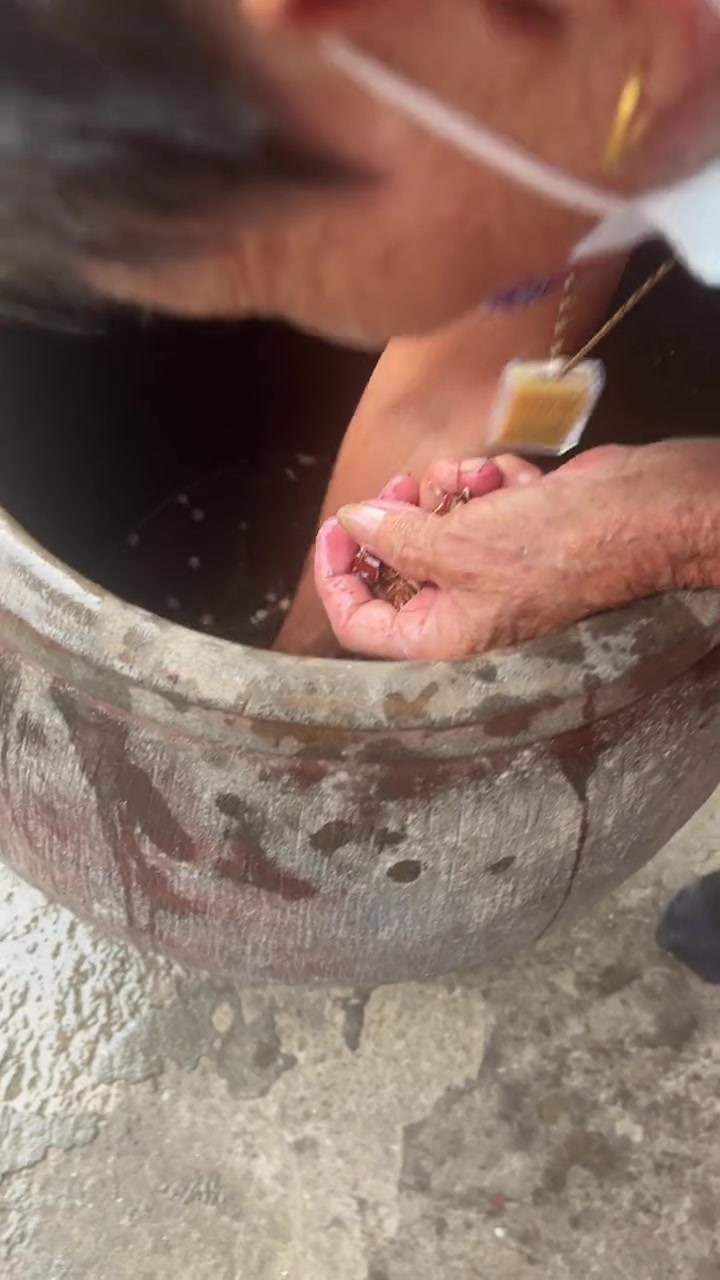这是啥虫啊...这玩意还能吃的吗