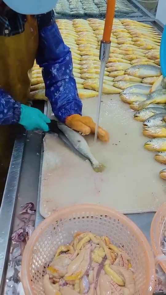 熟能生巧！大姐这杀鱼技术感觉已经炉火纯青了