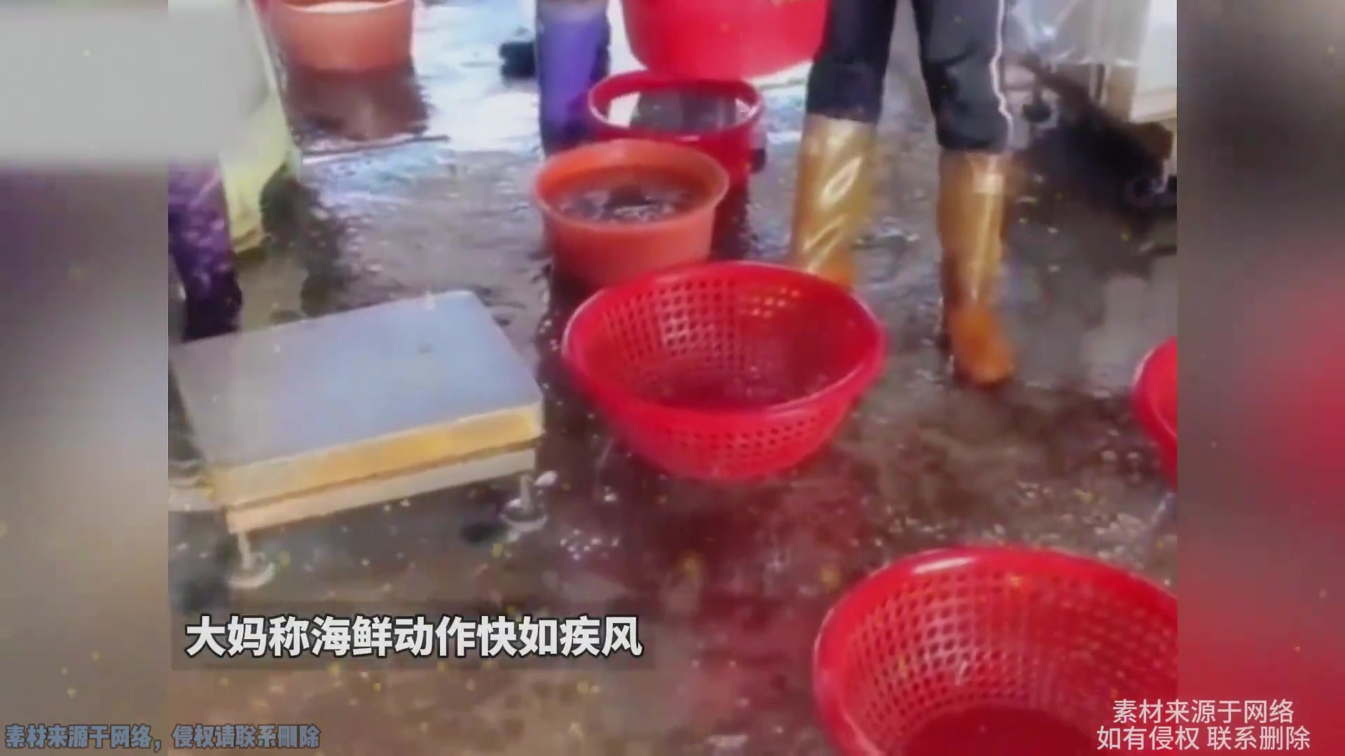 大妈称海鲜动作快如疾风 只要速度足够快水就跑不了