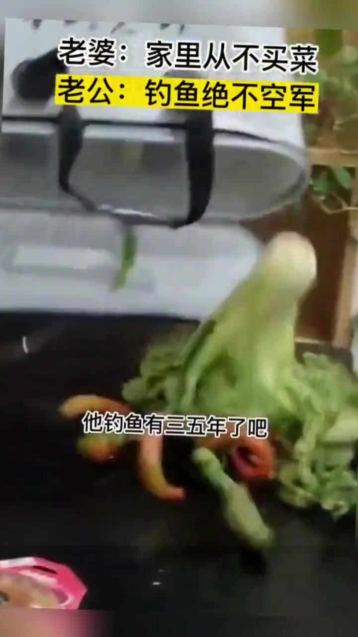 钓鱼老绝不空军！