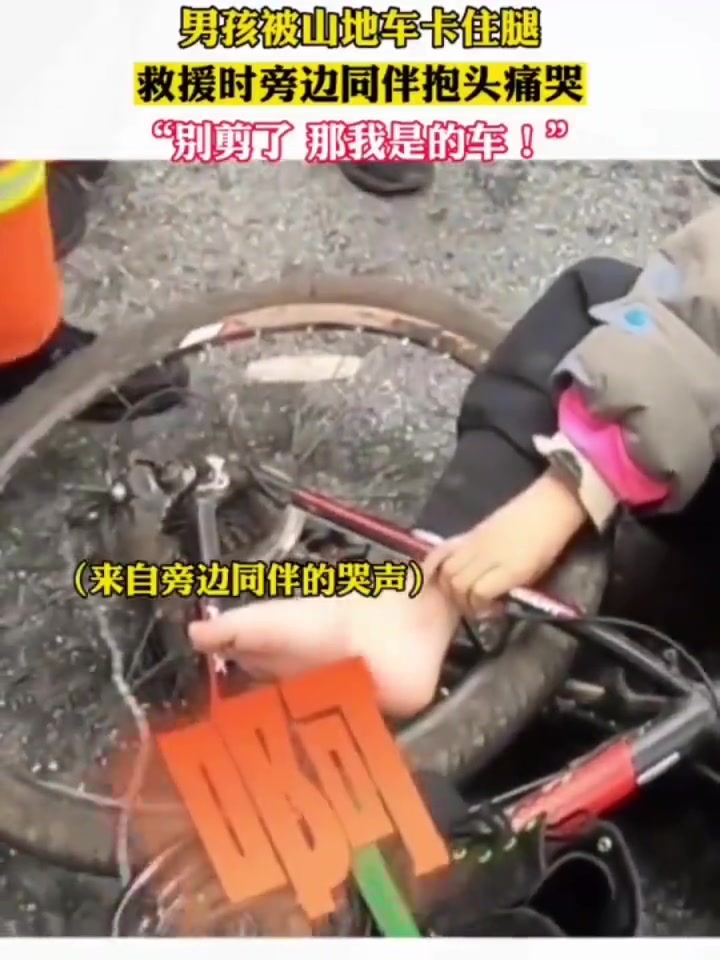 住手啊，那是我的车啊！