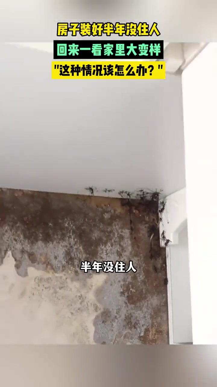 北欧风爆改自然风