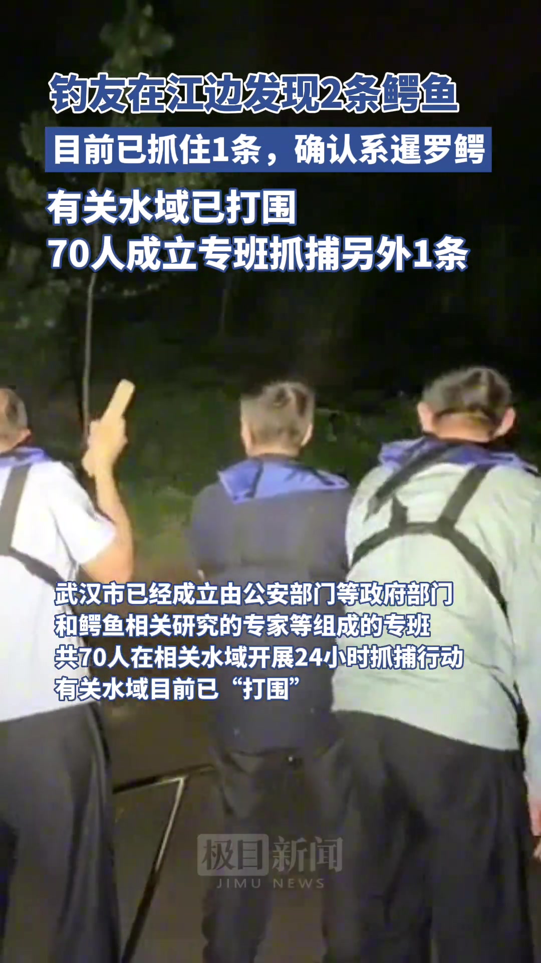 武汉江边发现的鳄鱼为暹罗鳄，已成立70人专班合作擒拿