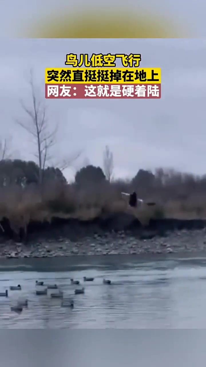睡眠质量真好，倒头就睡