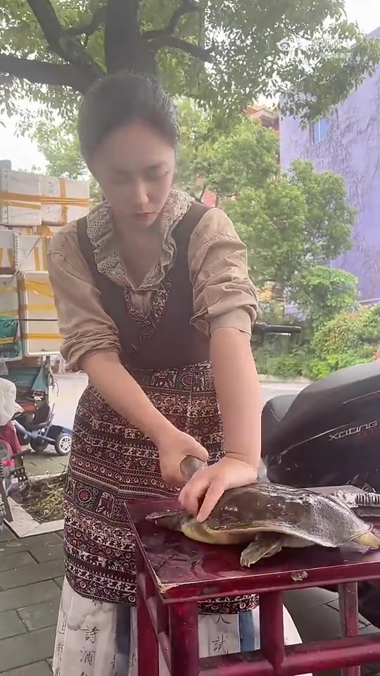 甲鱼是这样杀的吗？？