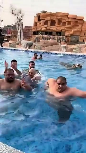 当老虎来的时候才知道胖子都是如此的灵活