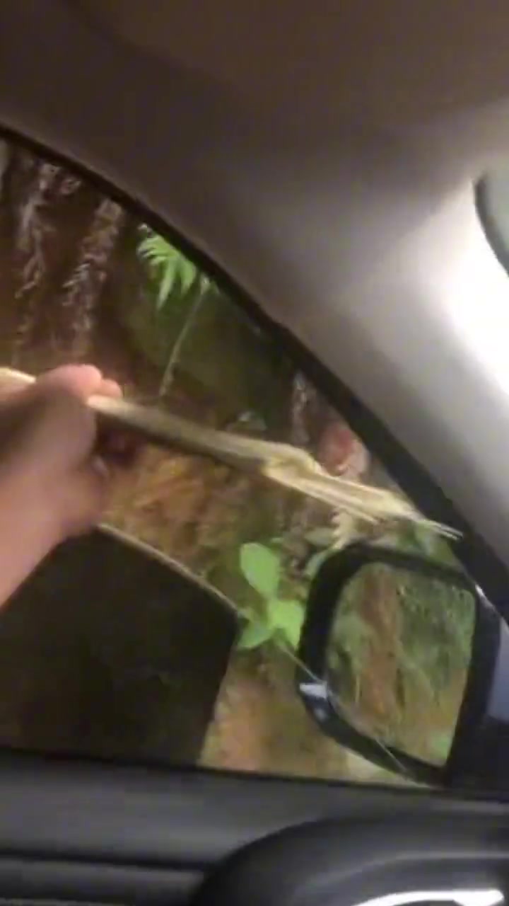 真皮啊！但凡窗户关慢点就轮到我们笑了
