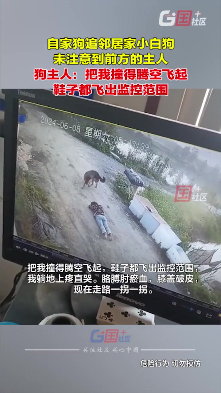 自家狗追别小白狗未注意到主人 结果把主人撞腾空飞起