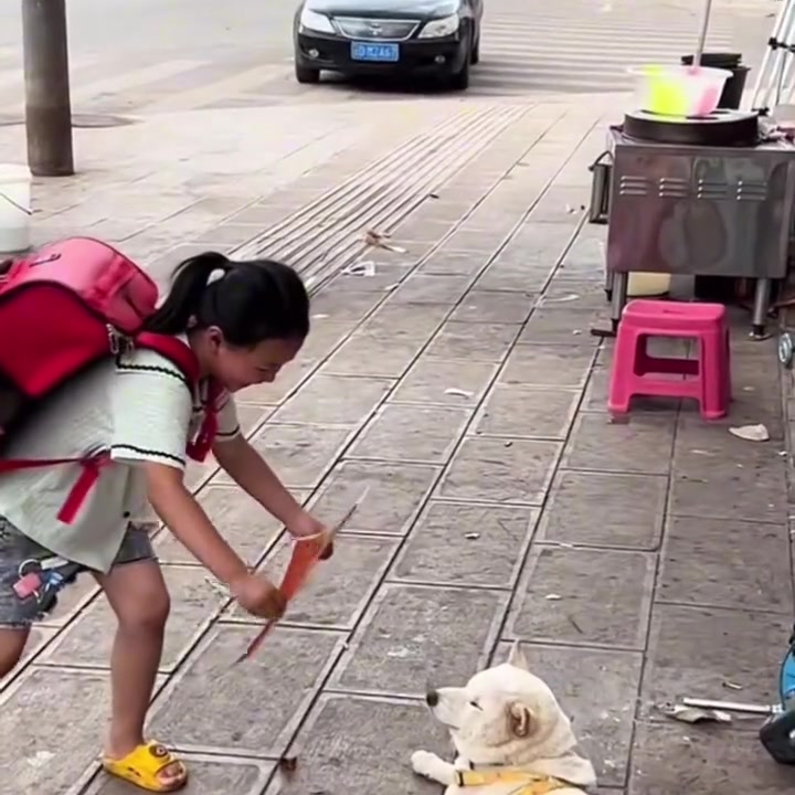给它看什么，它又不上学
