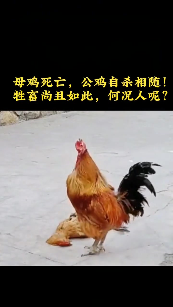 这是不是咬舌自尽？