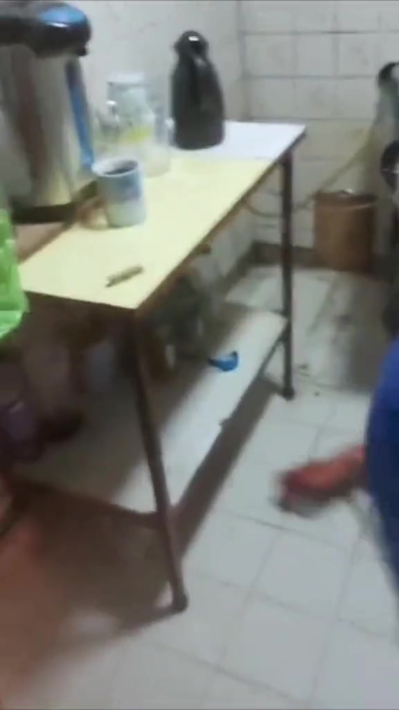 猫：咱俩总得有一个喊救命啊