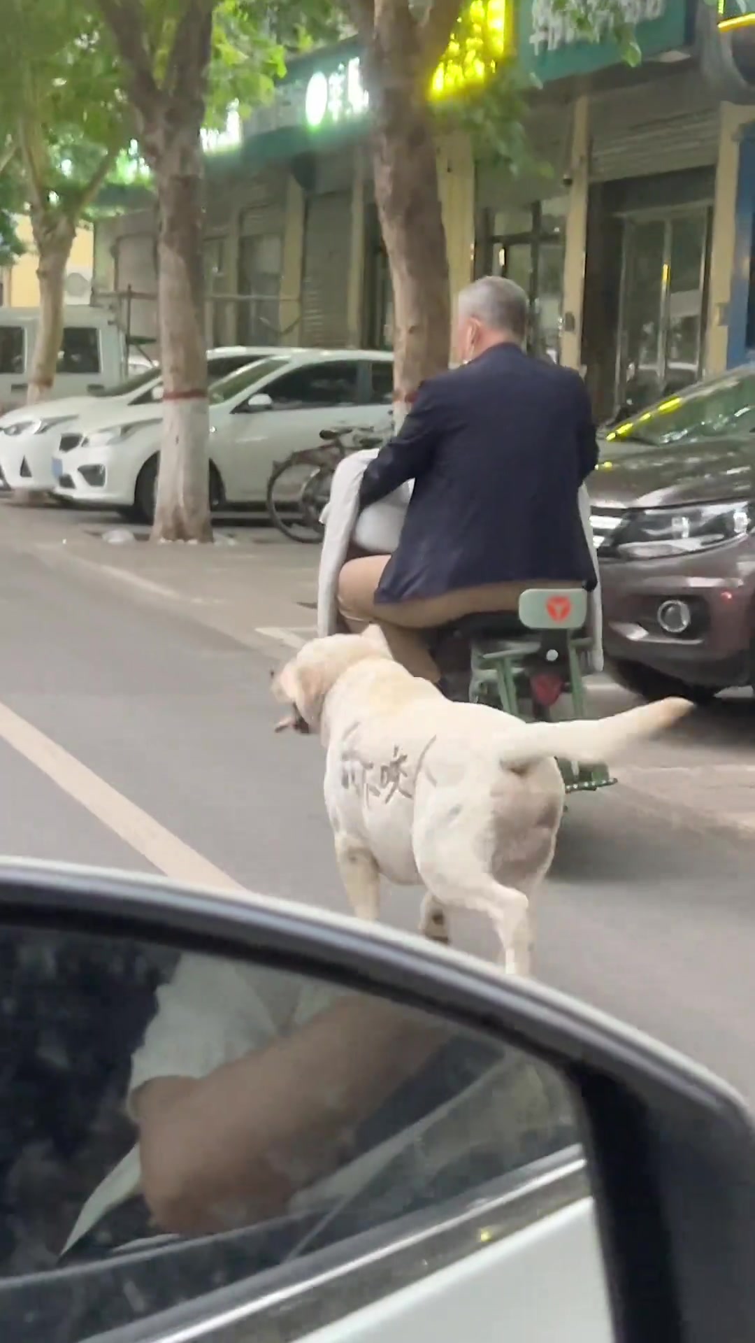 大爷，你给它减肥呢？⁉